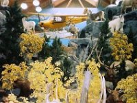 photos 2000-200901331